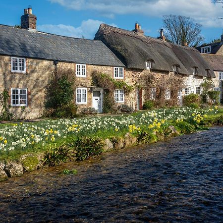 The Richmond Bed And Breakfast - Adults Only Shanklin Exteriér fotografie