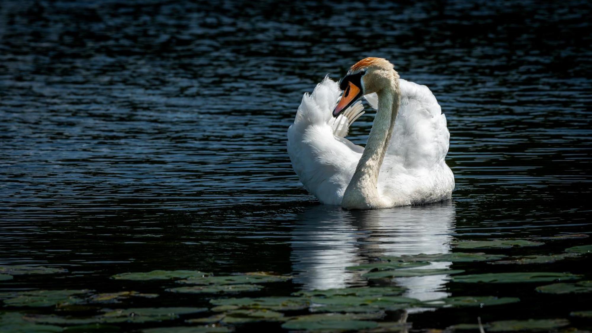 The Richmond Bed And Breakfast - Adults Only Shanklin Exteriér fotografie
